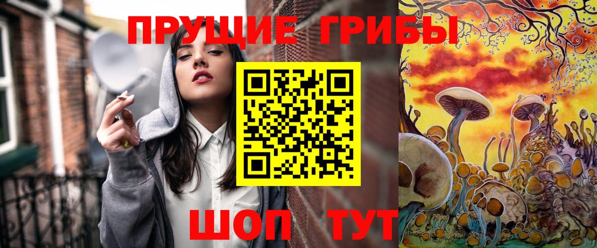Псилоцибиновые грибы Cubensis  где продают   Галлюциногенные грибы Psilocybe  Кинель  Вход с VPN 